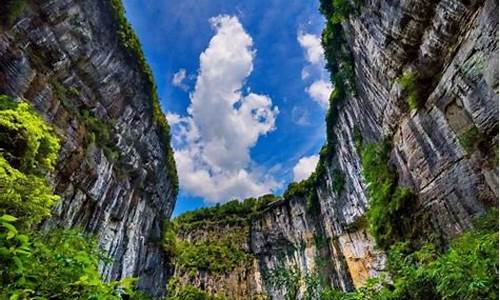 武隆仙女山介绍_武隆仙女山