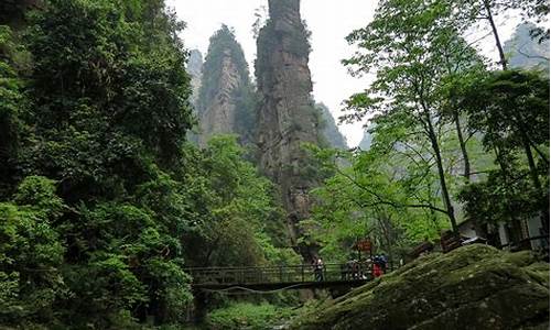 武汉到张家界旅游攻略三日游_武汉到张家界旅游路线