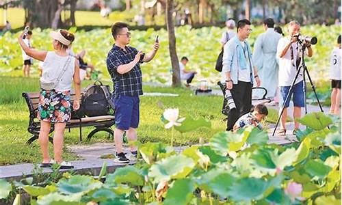 深圳洪湖公园荷花节门票_深圳洪湖公园荷花节