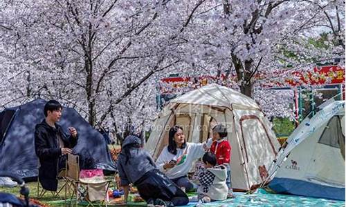 顾村公园樱花节车展门票_顾村公园樱花节预约门票