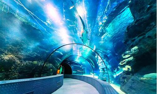 上海海洋水族馆 长风公园海洋世界_上海海洋水族馆 上海长风海洋世界