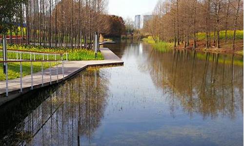上海湿地公园门票多少钱一张_上海湿地公园门票多少钱一张票