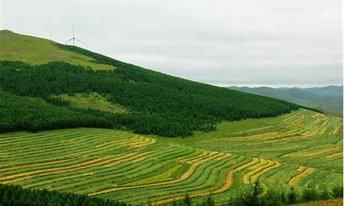 草原天路自驾游攻略最好玩的线路_草原天路自驾游全攻略