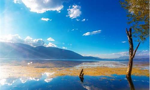 想去云南旅游自由行的攻略图片_想去云南旅游自由行的攻略图片大全