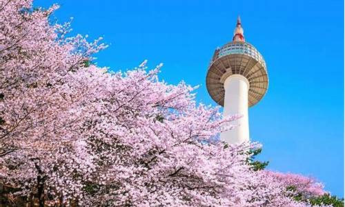 韩国自由行旅游攻略路线图片_韩国自由行旅游攻略路线图片大全